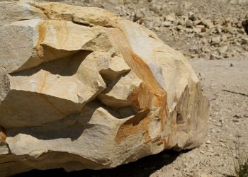 Uncovering the Hidden Treasures: A Fascinating Dive into History’s Forgotten Stories